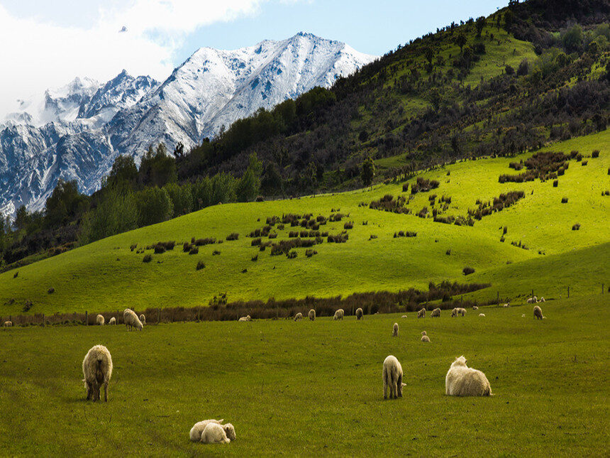 New Zealand, quốc đảo tuyệt đẹp